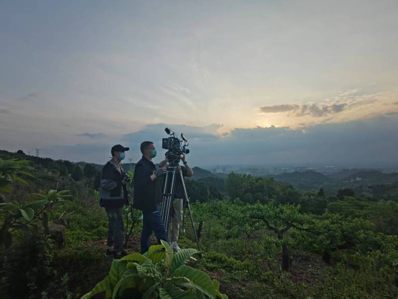 创意破圈！魏县电商产品宣传视频用故事化叙事引爆流量