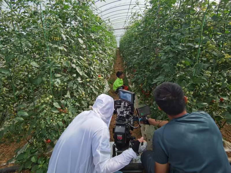 魏县产品宣传视频拍摄公司进阶指南，助力品牌抢占传播高地